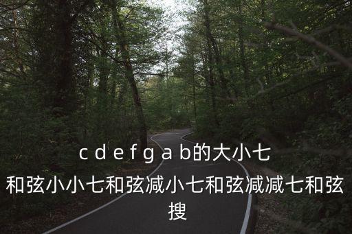 c d e f g a b的大小七和弦小小七和弦減小七和弦減減七和弦 搜