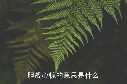 膽戰心驚的意思是什么