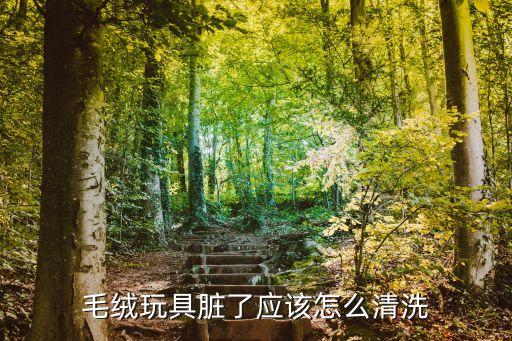 毛絨玩具怎么清洗，毛絨玩具臟了應該怎么清洗