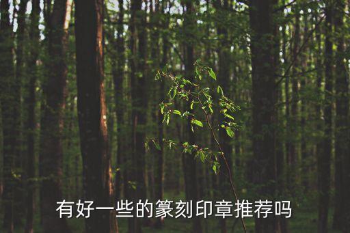 有好一些的篆刻印章推薦嗎