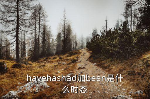 had是什么時態(tài)，had是什么時態(tài)