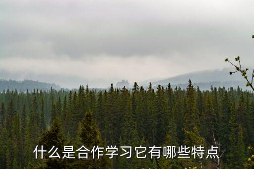 什么是合作學習它有哪些特點