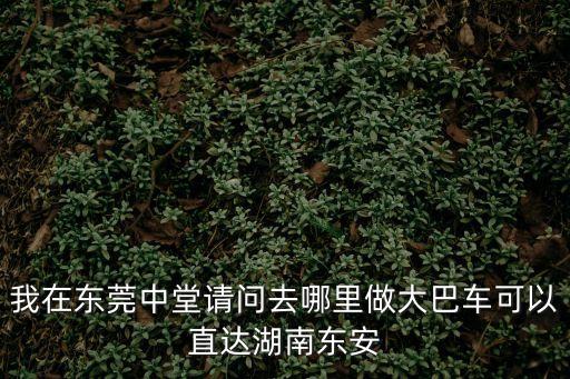 我在東莞中堂請問去哪里做大巴車可以直達湖南東安