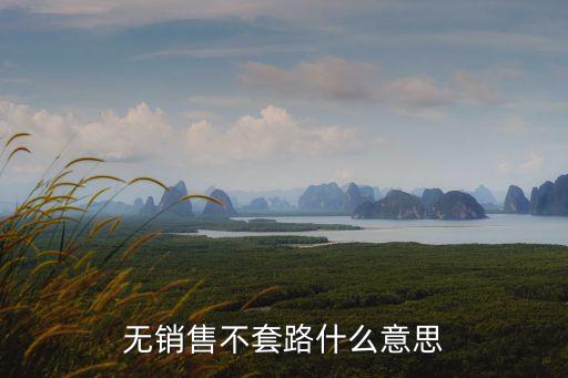 不套路，無銷售不套路什么意思
