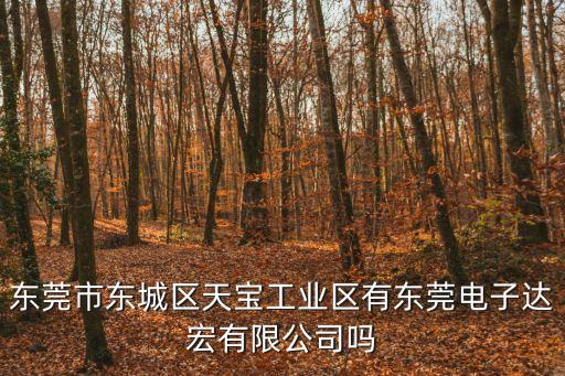 東莞市東城區(qū)天寶工業(yè)區(qū)有東莞電子達(dá)宏有限公司嗎