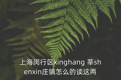 上海閔行區(qū)xinghang 莘shenxin莊鎮(zhèn)怎么的讀這兩