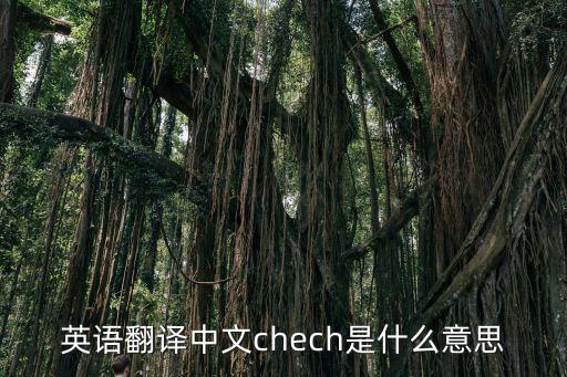 英語翻譯中文chech是什么意思