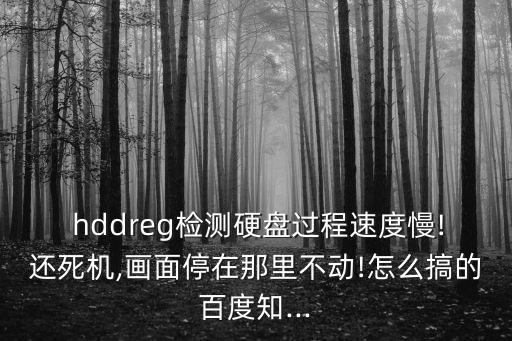 hddreg,電腦配置要求比較高我不認為它崩潰了