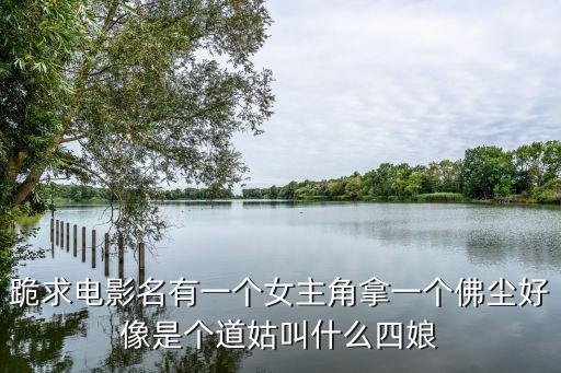 跪求電影名有一個女主角拿一個佛塵好像是個道姑叫什么四娘