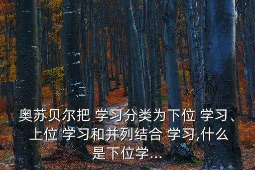 奧蘇貝爾把 學(xué)習(xí)分類為下位 學(xué)習(xí)、 上位 學(xué)習(xí)和并列結(jié)合 學(xué)習(xí),什么是下位學(xué)...
