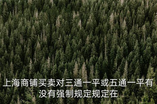 上海商鋪買賣對三通一平或五通一平有沒有強制規定規定在