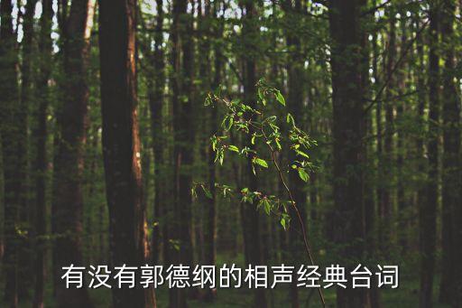 有沒有郭德綱的相聲經典臺詞
