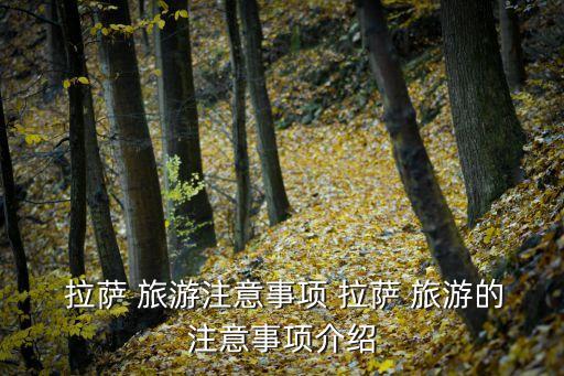 拉薩旅游,西藏旅游攻略
