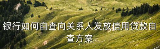 自查方案，自查方案組織領導職責分工怎么填寫