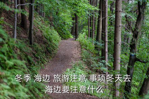 冬季 海邊 旅游注意 事項冬天去 海邊要注意什么