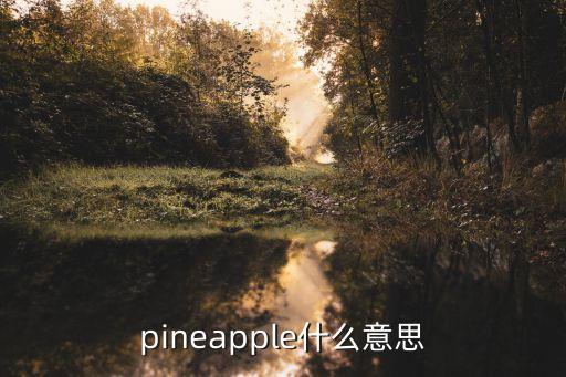 pineapple什么意思