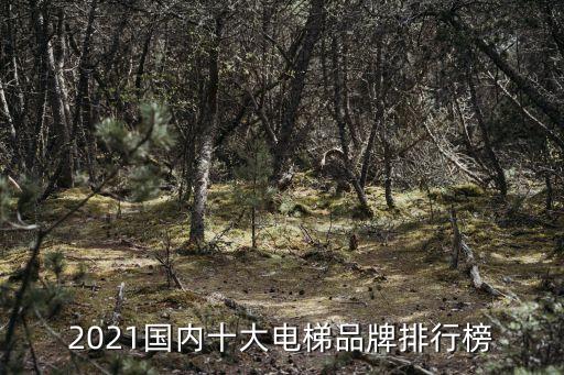 2021國(guó)內(nèi)十大電梯品牌排行榜