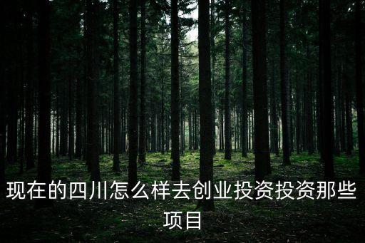 四川創(chuàng)業(yè)，想創(chuàng)業(yè)現(xiàn)在四川成都這邊做啥生意好做啊有啥好的小項(xiàng)目沒合作