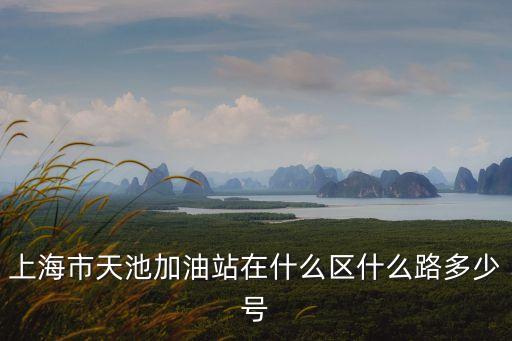 加油站上海市，上海市天池加油站在什么區什么路多少號