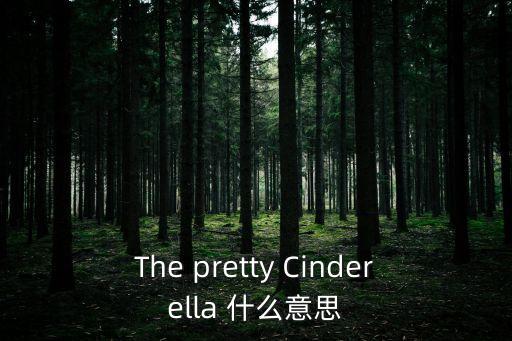 美麗的灰姑娘，The pretty Cinderella 什么意思