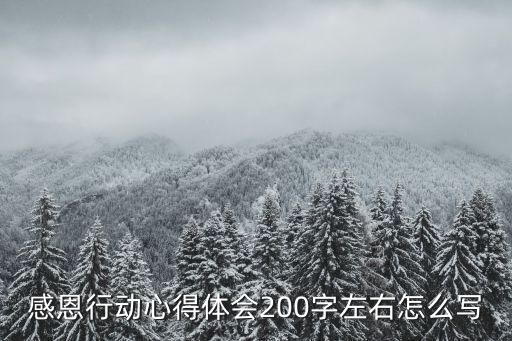 感恩行動心得體會200字左右怎么寫