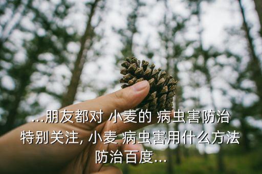 小麥病蟲害,選用抗病品種適時適深播種小麥銹病分類