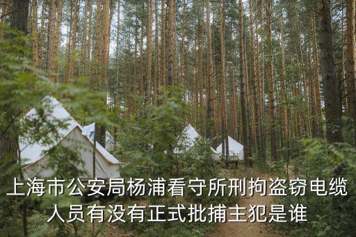 上海市楊浦拘留所張帥濤，想知道上海楊浦區拘留所 在哪