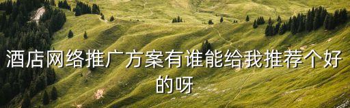 酒店網(wǎng)絡(luò)推廣方案有誰能給我推薦個(gè)好的呀