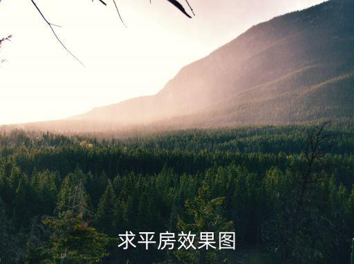 求平房效果圖