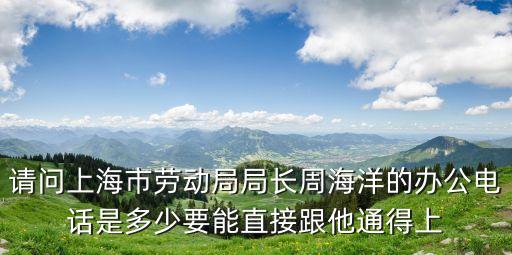 請問上海市勞動(dòng)局局長周海洋的辦公電話是多少要能直接跟他通得上