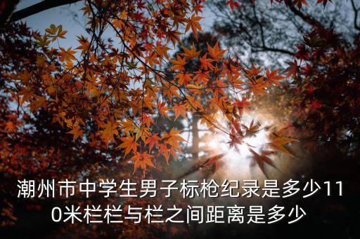 男子標槍世界紀錄，廣東省中學生男子標槍紀錄是多少110米欄欄與欄之間距離是多少