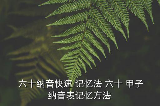  六十納音快速 記憶法 六十 甲子納音表記憶方法