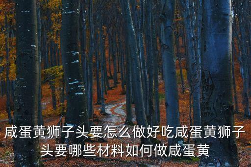 咸蛋黃獅子頭要怎么做好吃咸蛋黃獅子頭要哪些材料如何做咸蛋黃