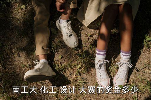 化工設(shè)計(jì)大賽,蘭州化工學(xué)院開幕南工大化工設(shè)計(jì)無獎金