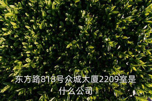 東方路818號眾城大廈2209室是什么公司