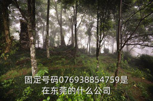 固定號(hào)碼076938854759是在東莞的什么公司
