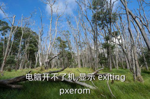 exiting,先按下shift-f10配置再按開機