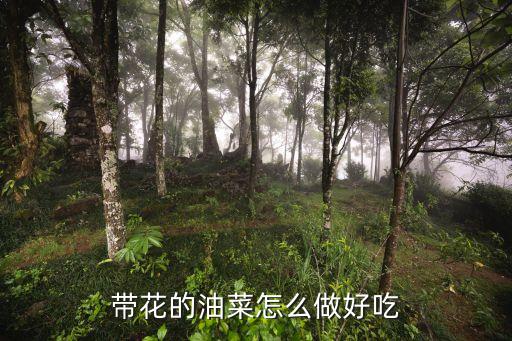 炒油菜花，小油菜炒菜花的家常做法大全怎么做好吃視