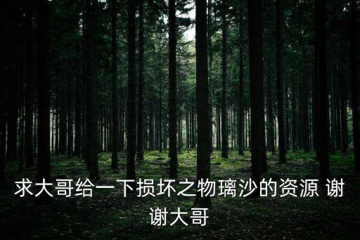 求大哥給一下損壞之物璃沙的資源 謝謝大哥