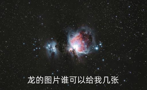 關于龍的圖片，誰有關于龍的圖片