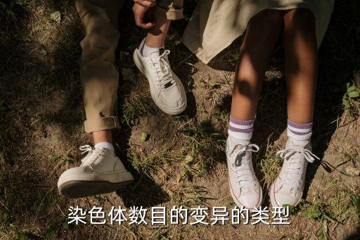 染色體數(shù)目的變異的類型