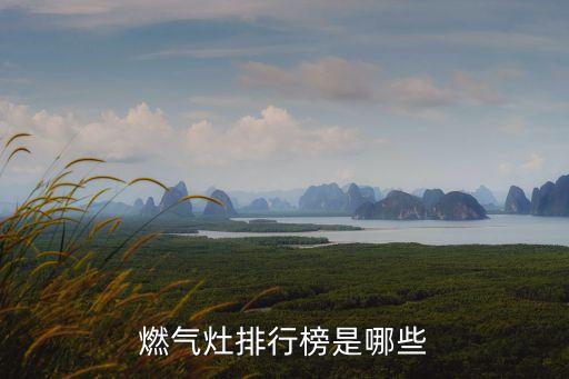 燃氣灶排行榜是哪些