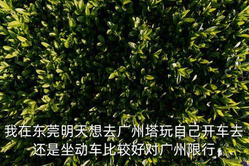 我在東莞明天想去廣州塔玩自己開車去還是坐動車比較好對廣州限行