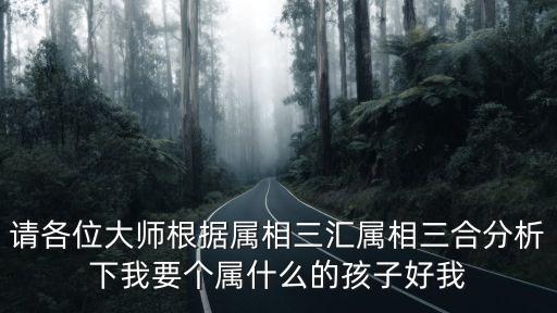 請(qǐng)各位大師根據(jù)屬相三匯屬相三合分析下我要個(gè)屬什么的孩子好我