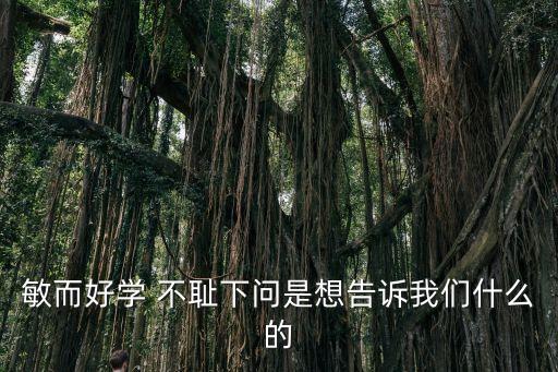 敏而好學(xué) 不恥下問是想告訴我們什么的
