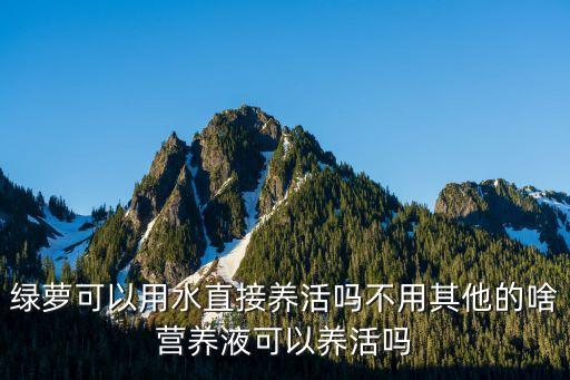 綠蘿可以用水直接養活嗎不用其他的啥營養液可以養活嗎