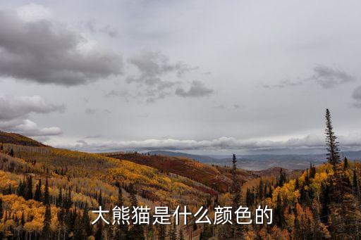  大熊貓是什么顏色的