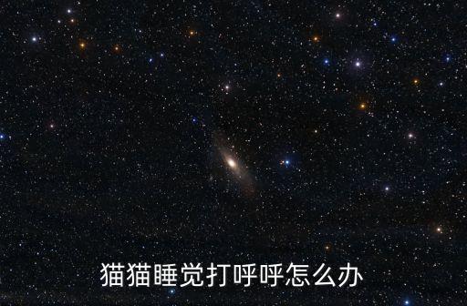 貓貓睡覺打呼呼怎么辦