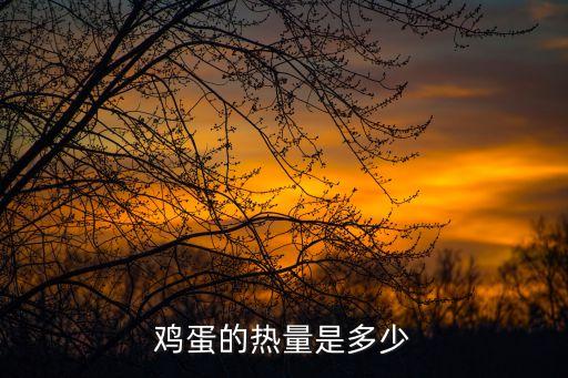 雞蛋的熱量是多少