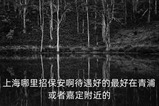 上海哪里招保安啊待遇好的最好在青浦或者嘉定附近的